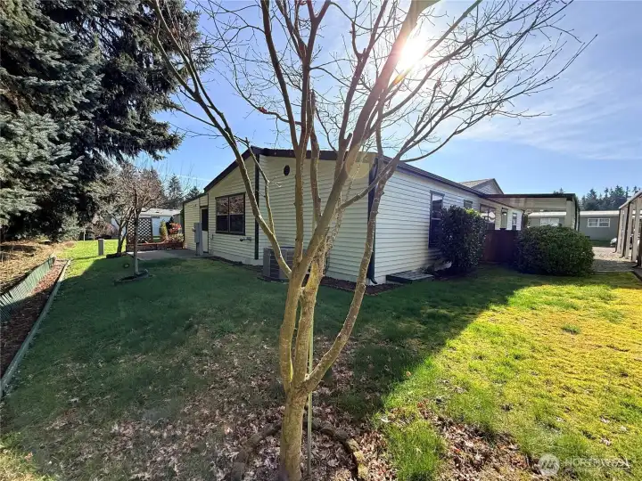 Another backyard view.