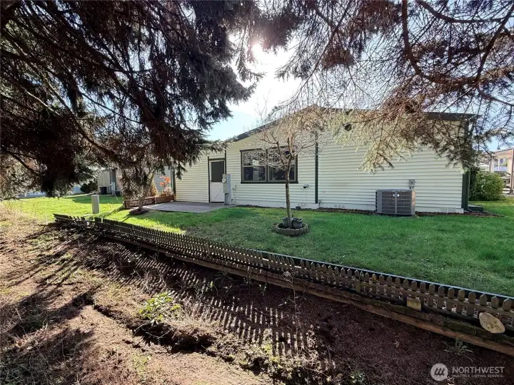 More of the backyard.