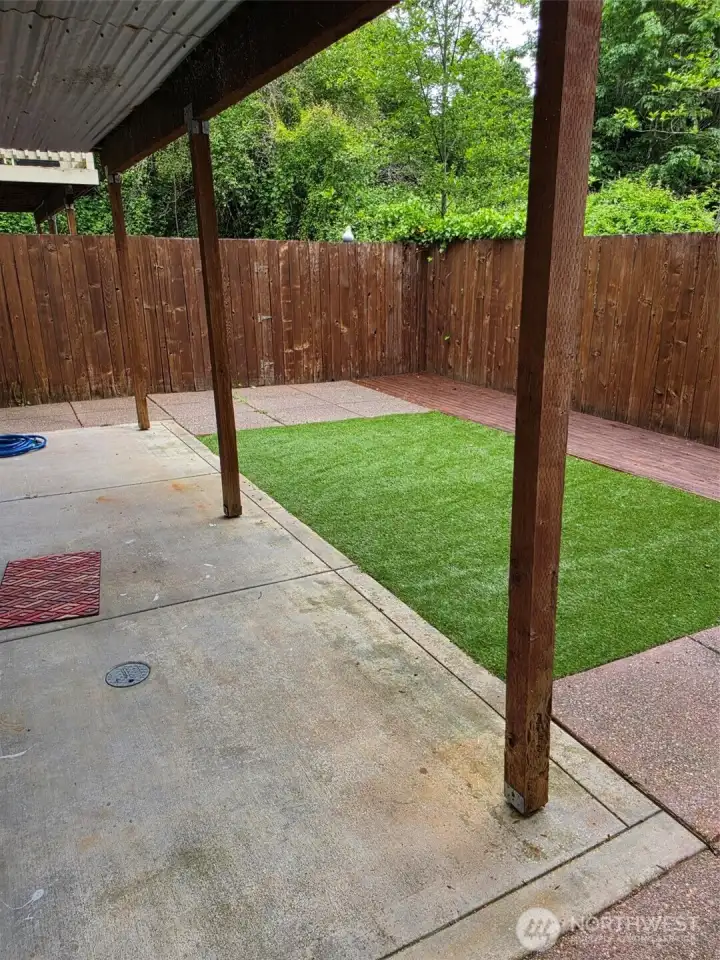 Back yard & patio Back yard & patio