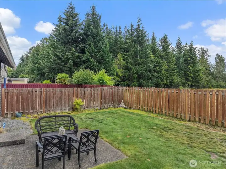 Back Yard