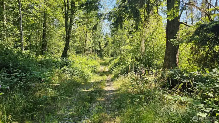Access road