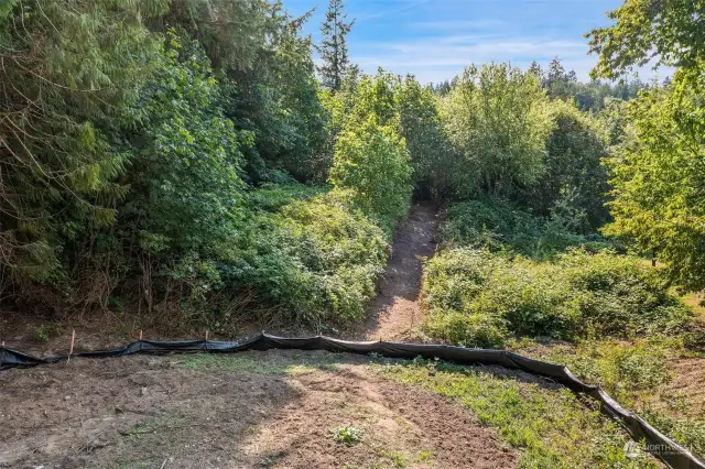 Hiking trail