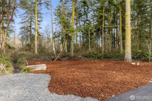 This back yard area is a designated wetland buffer. Follow the trail at the left for access to literally miles of trails!