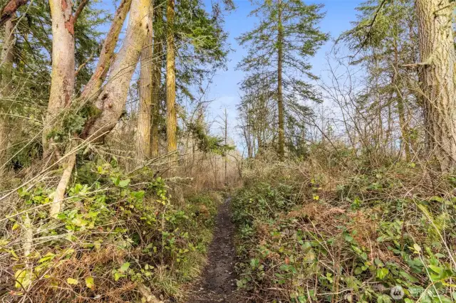 Follow the trail through the trees, which connects to Cappy's Trails, with Larry Scott Trails just down the street.