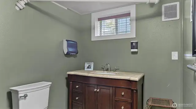 Lower level bathroom