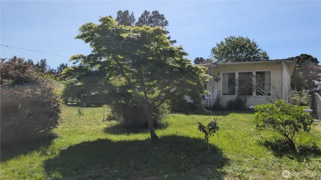 Large Yard