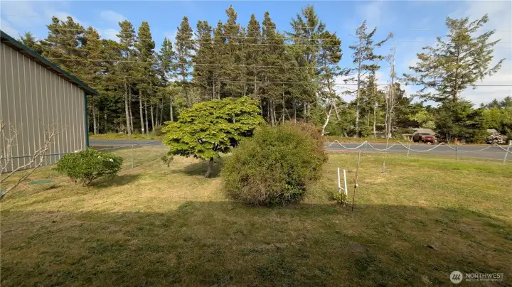 Mature landscaped lawn.