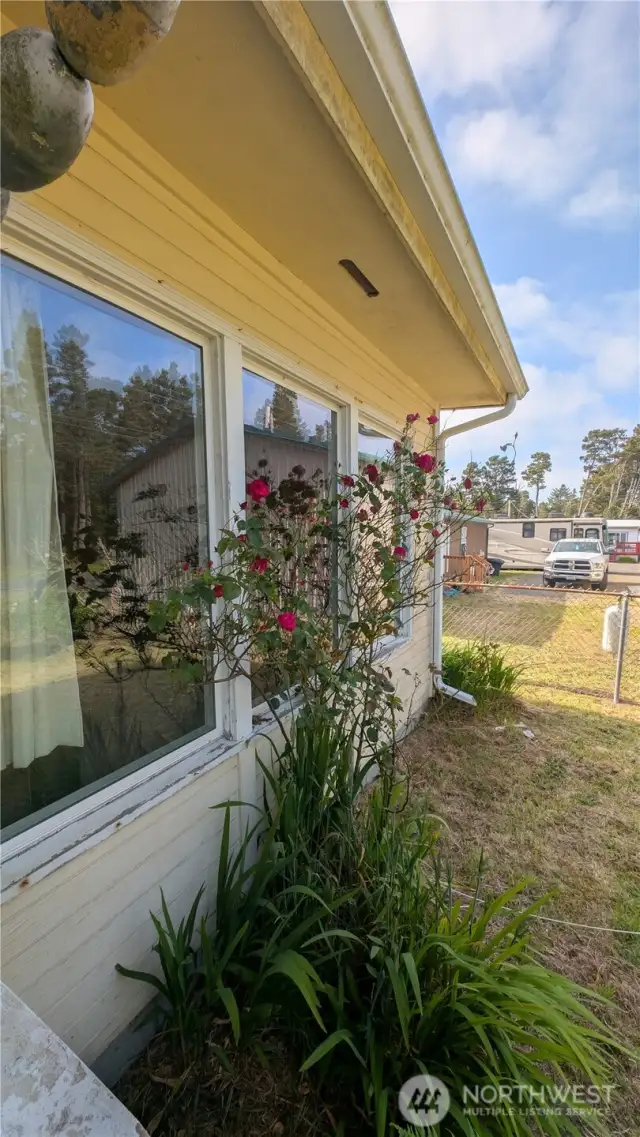 Picture window facing spacious yard