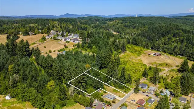 The two rectangular lots to the east.