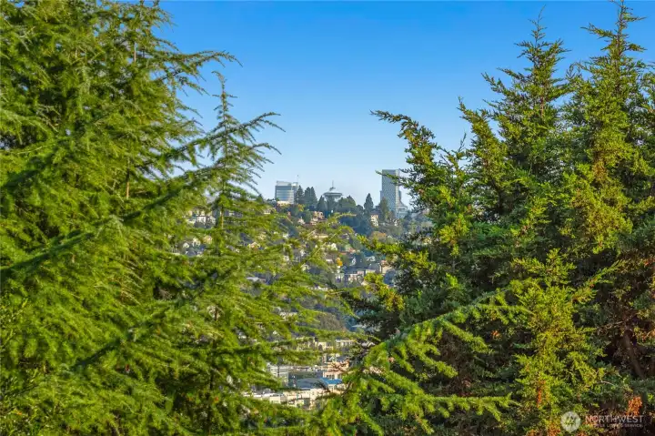 Glimpse the Space Needle (great for fireworks!).