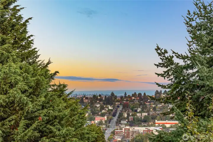 Queen Anne and Cascades!
