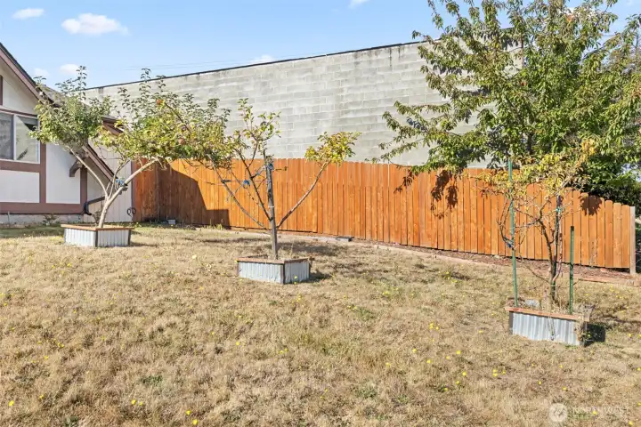 Fruit Trees in front Yard