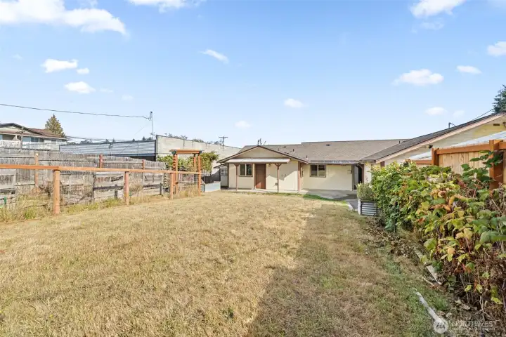 Back Yard