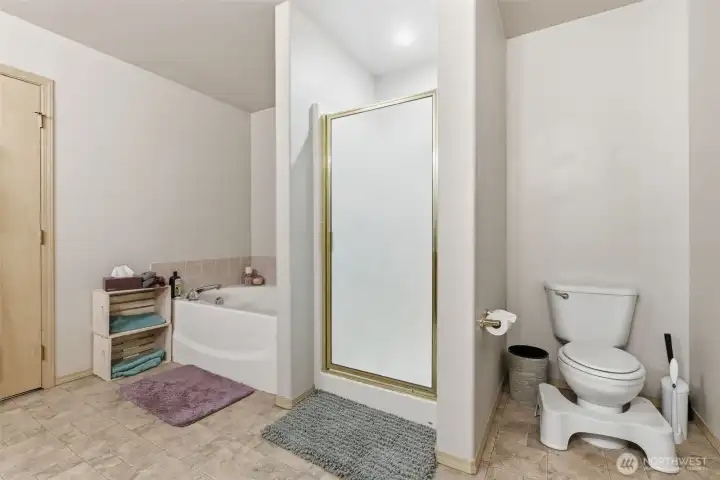 Primary bathroom with 5 pieces, separate tub and shower