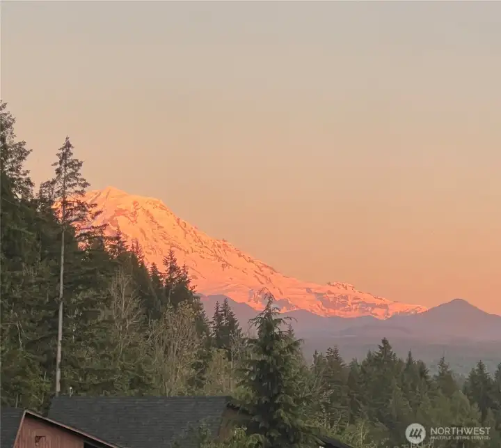 Views from the living room window