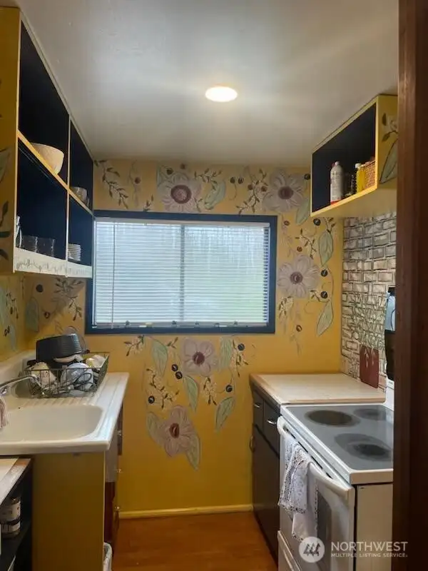 Cute kitchen paint job by past tenant.