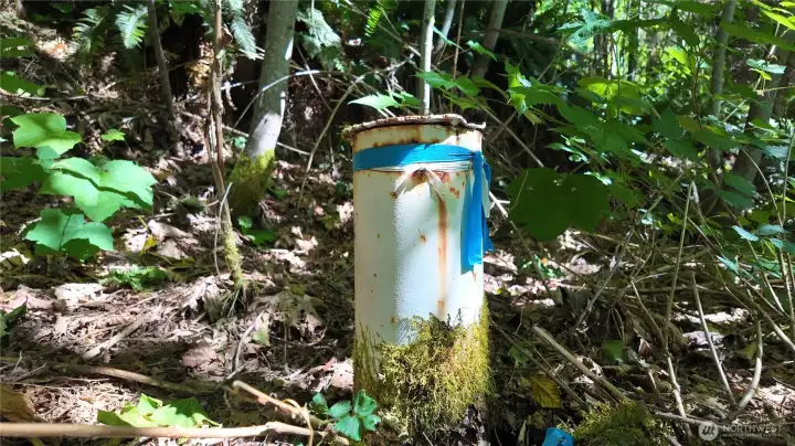 Well on property. Well on property.