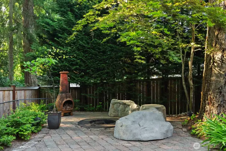 fire pit in back yard