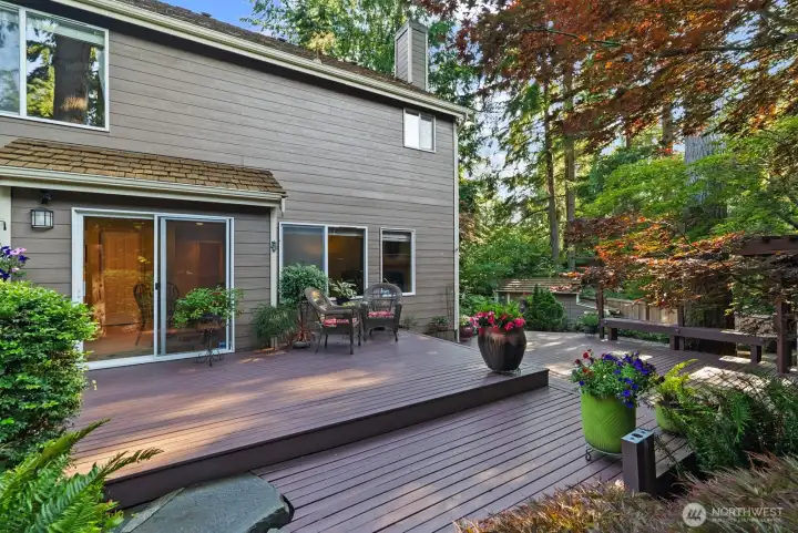 back yard