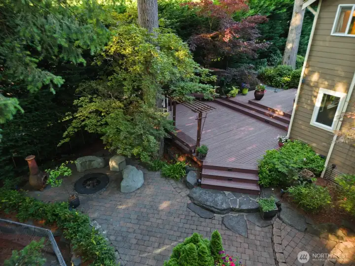 back yard