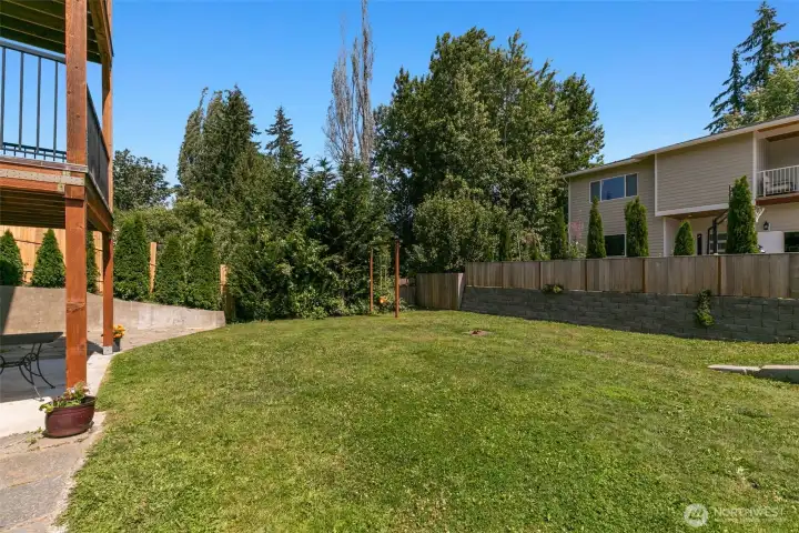 Backyard Backyard