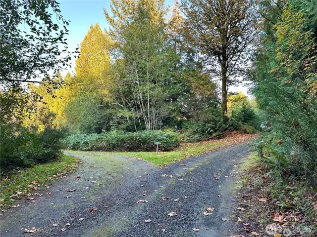 Driveway of main home and ADU.