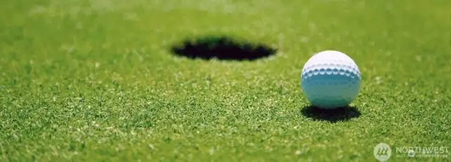 Golf anyone? The park's own 9 hole, par 3 course is FREE fore residents.