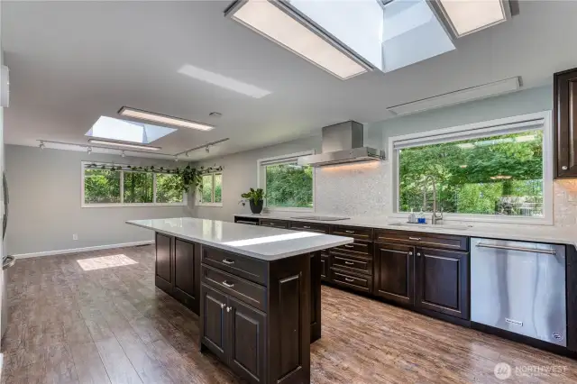 Massive Island Kitchen