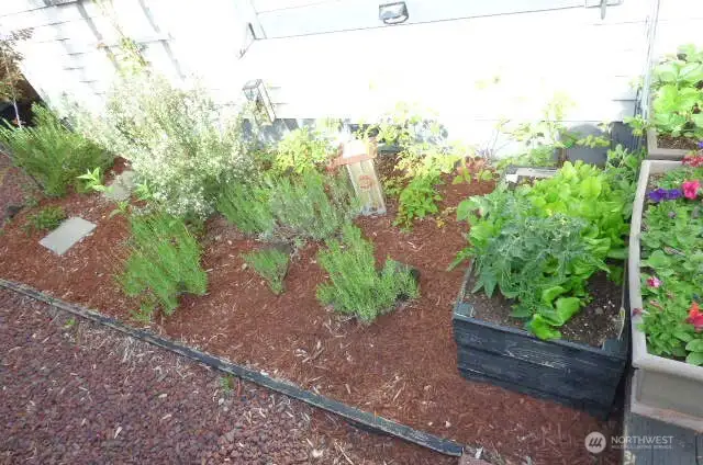 Green thumb? You can live off the land  .Green thumb? You can live off the land.