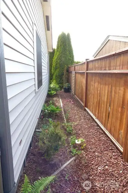 North side yard.