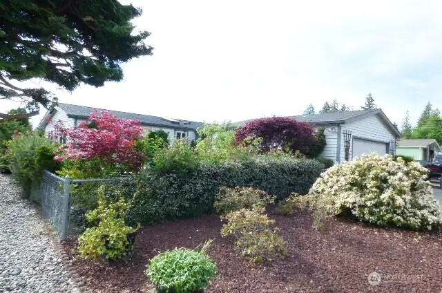 Mature landscaping makes for a private and peaceful front yard.