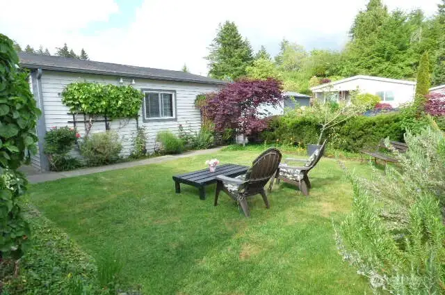 Another view of the front yard. Notice all the plants - rosemary, lilacs, roses, honeysuckle and so much more!