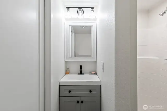 Lower level bathroom with shower