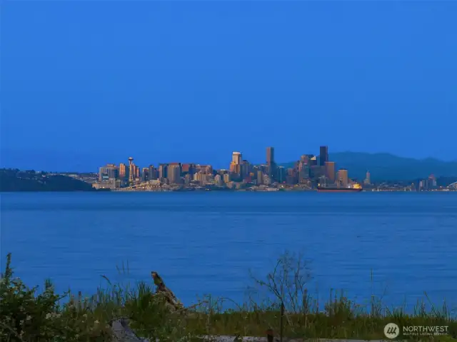 A splendid view of Seattle