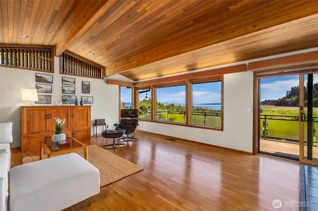 Amazing living room and view!