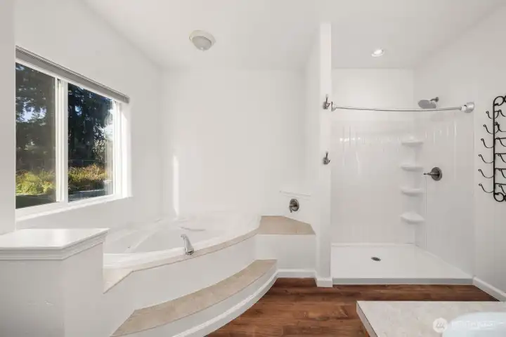 Primary bathroom is too big for one photo! Walk in shower and big soaking tub, overlooking the private back yard.