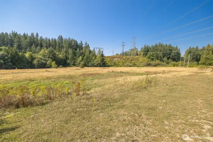 The corner of this field is north of the power lines. The trees on the left of this photo line Squalicum Creek.