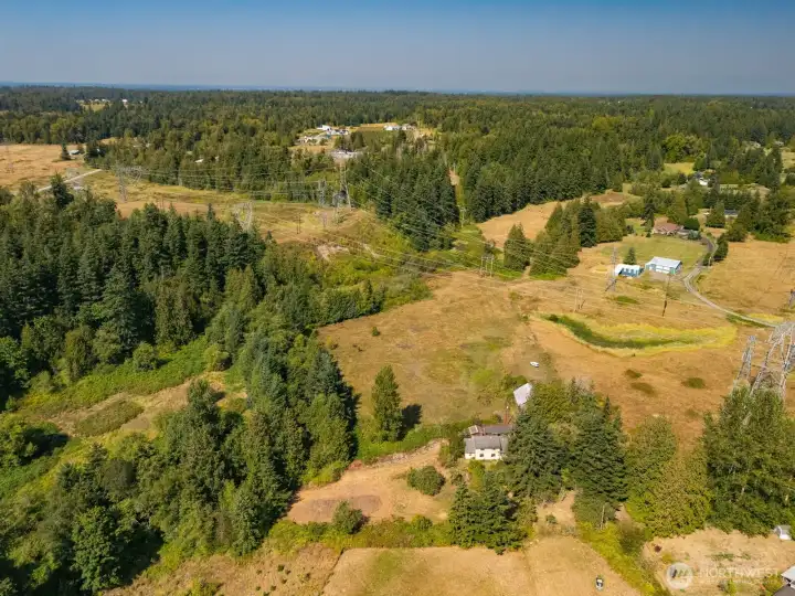 Trees lining each side of Squalicum Creek. The property is on both sides of the creek.