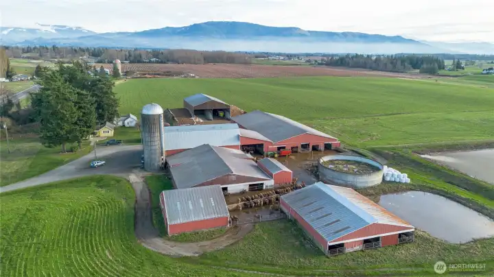 Overhead Easterly view. You can see a portion of the yellow house in the trees.