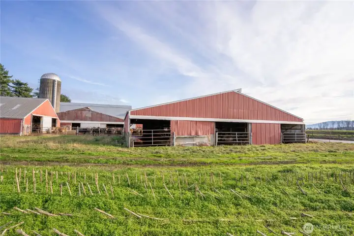 Easterly View of barns