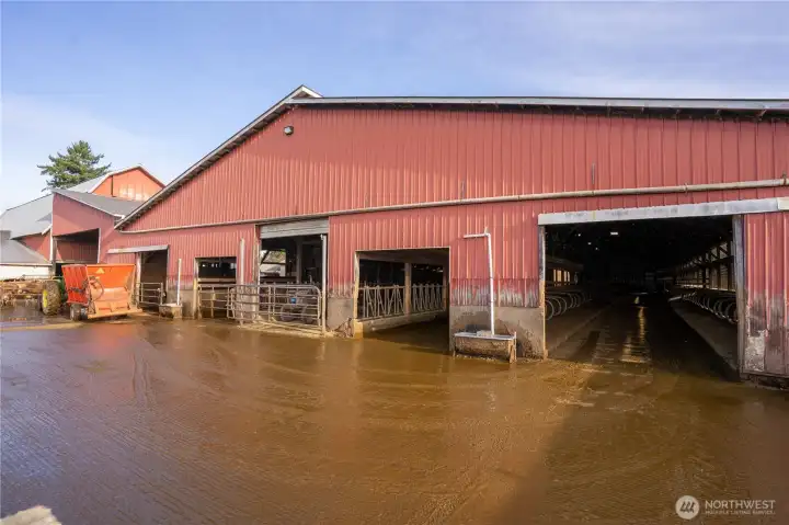 Loafing and drive thru feeding barn