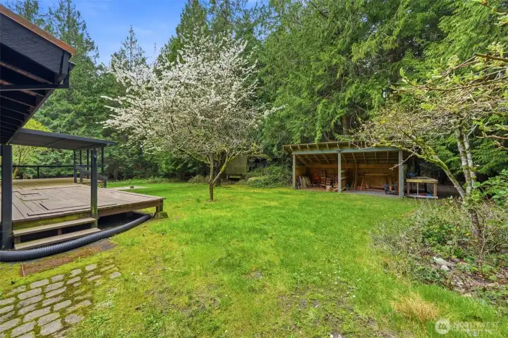 Expansive grassy clearing perfect for summer gatherings and outdoor play.