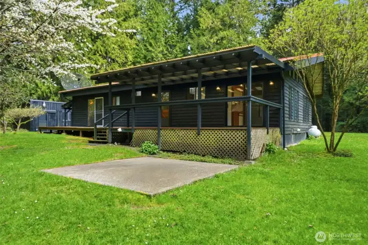 Flat, usable yard space surrounded by a mature evergreen perimeter.