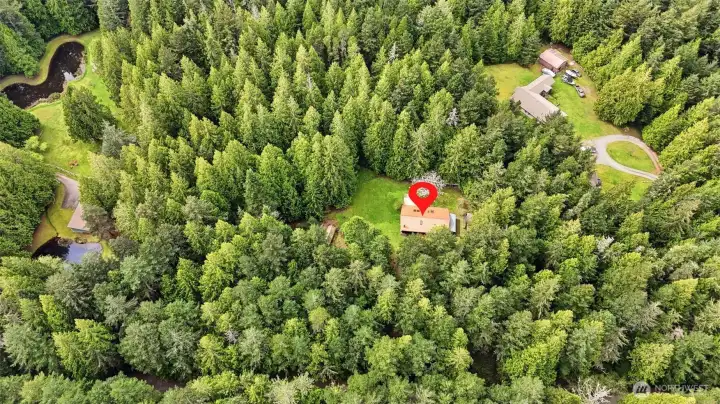 Aerial showcases the property’s seclusion within the dense forest.