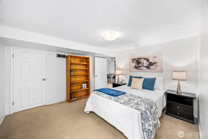 Lower level bedroom