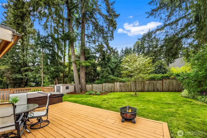 Another view of the backayrd with extra Storage Space of yard things