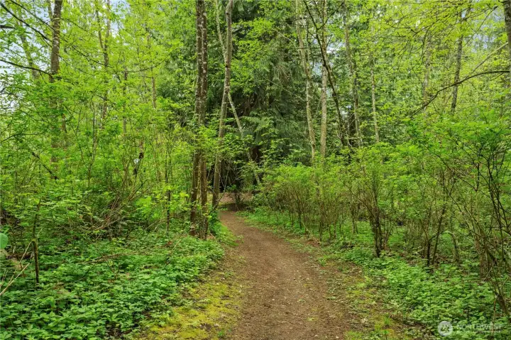 Walking trails around the property.