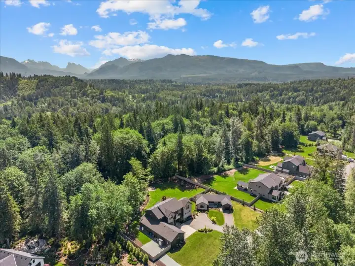 Estate backs up to protected forest land