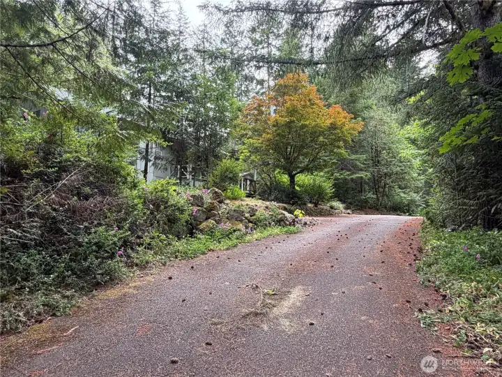 Driveway thru property Driveway thru property