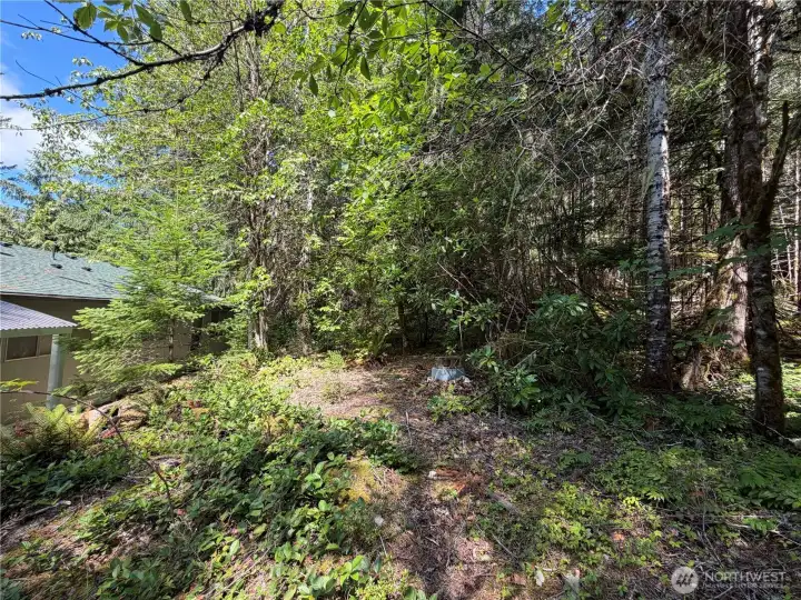 More forest behind the home. Two tax parcels are included in the sale ! More forest behind the home. Two tax parcels are included in the sale !